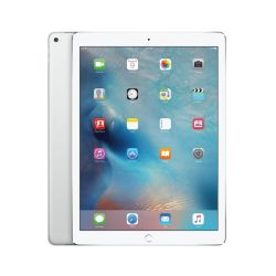 Refurbished Apple iPad Mini 5th Gen (A2124) 256GB - Silver, Unlocked A